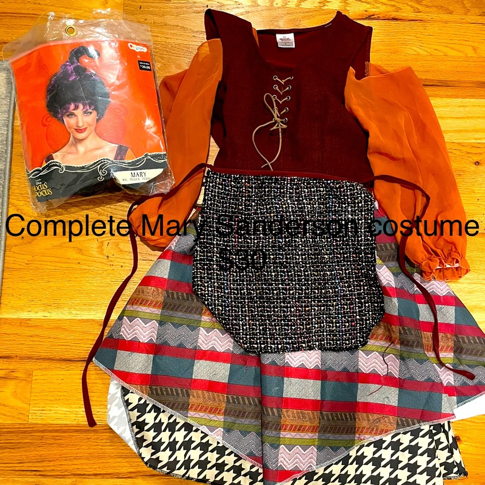Mary Sanderson costume with wig Child Large